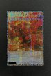 画像2: 〔状態A-〕スカーレッドノヴァドラゴンバーニングソウル【グランドマスター】{LOCR-JP008}《シンクロ》 (2)