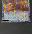 画像4: ☆アジア☆スカーレッドノヴァドラゴンバーニングソウル【グランドマスター】{アジアLOCR-JP008}《シンクロ》 (4)