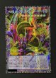 画像2: 〔状態A-〕四天の龍スターヴヴェノムフュージョンドラゴン【グランドマスター】{LOCR-JP013}《融合》 (2)