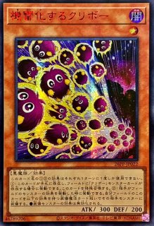 アジアシークレット - カードラッシュ[遊戯王]
