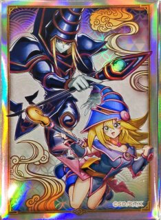スリーブ『THECHRONICLES閃刀姫』100枚入り【-】{-}《スリーブ》