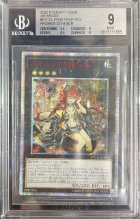 鑑定済カード - カードラッシュ[遊戯王]