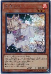 灰流うらら【プリズマティックシークレット】{LPST-JP009}《モンスター》