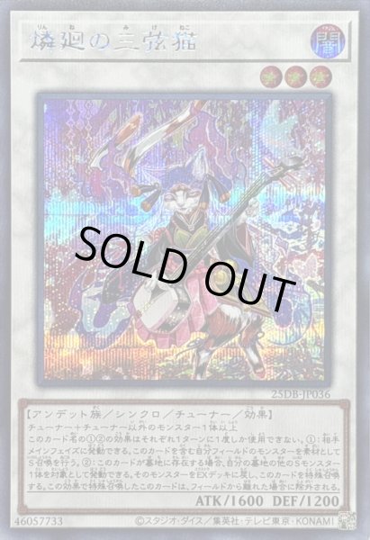 画像1: 〔状態B〕燐廻の三弦猫【シークレット】{25DB-JP036}《シンクロ》 (1)