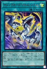 DDカウントサーベイヤー　スケールサーベイヤー　赤シク　各3枚 PREMIUM PACK 2025 - カードラッシュ[遊戯王]