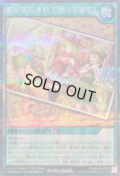 画像1: 〔状態A-〕畑が荒らされて困ってます!【シークレット】{RD/AP02-JP028}《RD魔法》 (1)