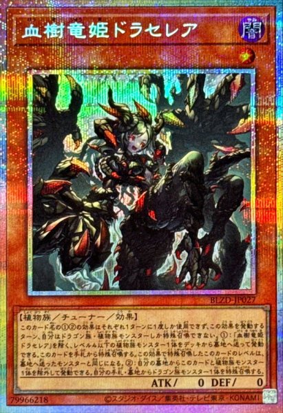 画像1: 血樹竜姫ドラセレア【プリズマティックシークレット】{BLZD-JP027}《モンスター》 (1)