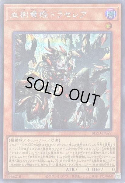 画像1: 〔状態B〕血樹竜姫ドラセレア【シークレット】{BLZD-JP027}《モンスター》 (1)