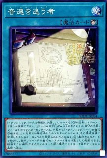 金華猫 ノーマル Sd32 Jp022 モンスター