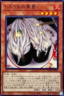 しゃりの軍貫【レア】{DAMA-JP011}《モンスター》