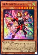 エルフェンノーツ - カードラッシュ[遊戯王]
