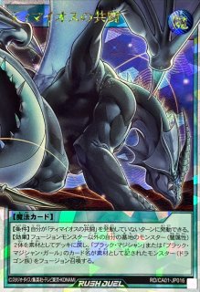 遊戯王通販 カードラッシュ