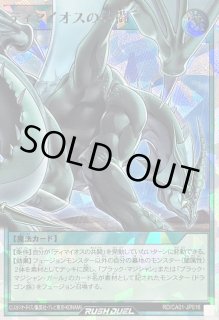 遊戯王通販 カードラッシュ