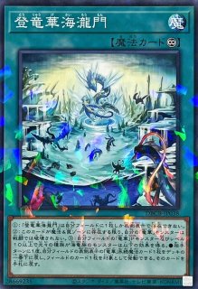 状態B〕ダークレクイエムエクシーズドラゴン【プリズマティック