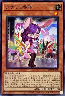 スリーブ『ダイスマイトガールチロリ』10枚入り【-】{-}《スリーブ》