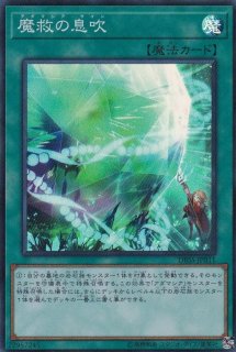 深淵の獣サロニール【ノーマル】{DABL-JP007}《モンスター》 深淵の獣サロニール【ノーマル】{DABL-JP007}《モンスター》