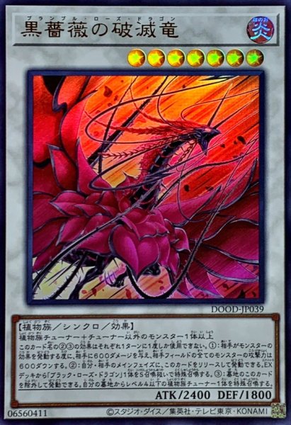 画像1: 黒薔薇の破滅竜【ウルトラ】{DOOD-JP039}《シンクロ》 (1)