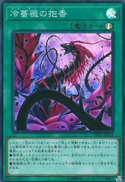 冷薔薇の抱香 スーパー Dp21 Jp026 魔法 カードラッシュ 遊戯王