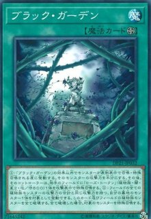 プランク・ローズ・ドラゴン Amazon.co.jp: レッドローズ ドラゴン