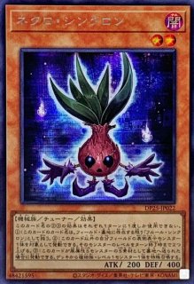 氷結界の龍ブリューナク【シークレット】{DTC1-JP022}《シンクロ》