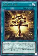 INFINITE FORBIDDEN - カードラッシュ[遊戯王]