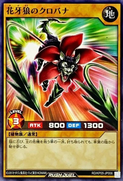 画像1: 花牙狼のクロバナ【ノーマル】{RD/KP05-JP006}《RDモンスター》 (1)