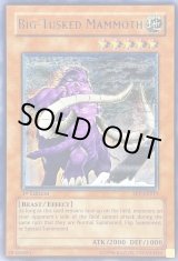 遊戯王 ビッグホーン・マンモス 旧アジア版 レリーフ ☆旧アジア☆ビッグホーンマンモス【レリーフ】{FET-AE015