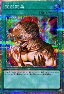 カオスマックスドラゴン　アジア公式プレイマット 遊戯王】 ○Asia ブルーアイズ・カオス・MAX・ドラゴン 公式プレイ