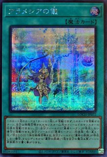 アラメシアの儀 - カードラッシュ[遊戯王]
