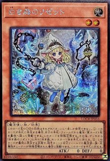混沌なる魅惑の女王【シークレット】{LOCR-JP041}《モンスター》