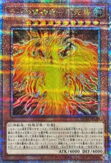 遊戯王 ブラック・マジシャンガール レッドアイズ ダークネス