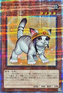 QUARTER CENTURY ART COLLECTION - カードラッシュ[遊戯王]