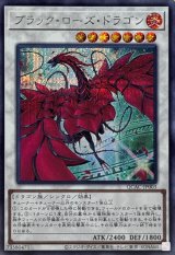 ブラック・ローズ・ドラゴン - カードラッシュ[遊戯王]