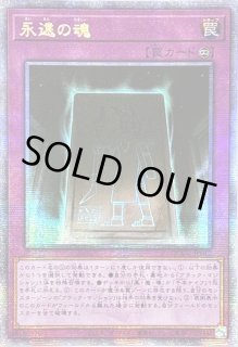 マリス　フルセット　アジア　シークレット　ノパラ NOVA SURGE GS【1064A014-004】 | TRIPLE DOUBLE KOKURA