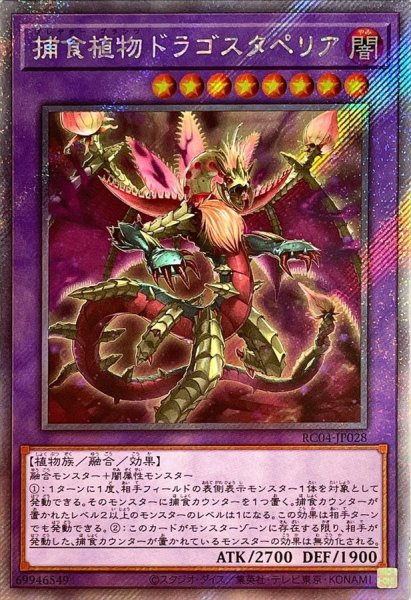 画像1: 〔状態A-〕捕食植物ドラゴスタペリア【エクストラシークレット】{RC04-JP028}《融合》 (1)