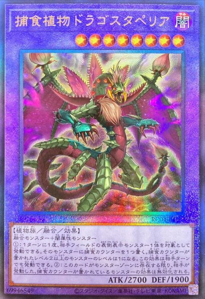画像1: 〔状態A-〕捕食植物ドラゴスタペリア【レリーフ】{RC04-JP028}《融合》 (1)