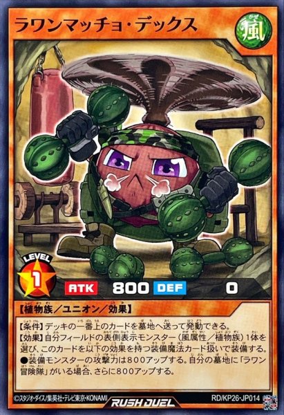 画像1: ラワンマッチョデックス【ノーマル】{RD/KP26-JP014}《RDモンスター》 (1)