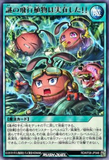 アメイジングディーラー【シークレット】{RD/MRP2-JP014}《RDモンスター》