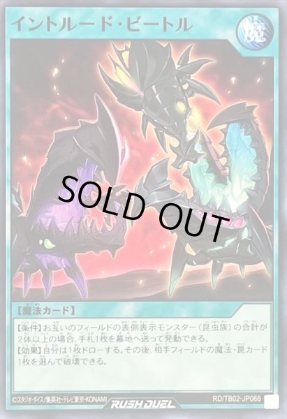 画像1: イントルードビートル【ノーマル】{RD/TB02-JP066}《RD魔法》 (1)