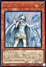 遊戯王 青き眼の光臨 デッキのみ11個 トレーディングカード