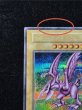 画像3: 〔状態A-〕ホーリーナイトドラゴン【シークレット】{初期}《モンスター》 (3)