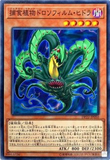 赫聖の妖騎士【プリズマティックシークレット】{CYAC-JP042