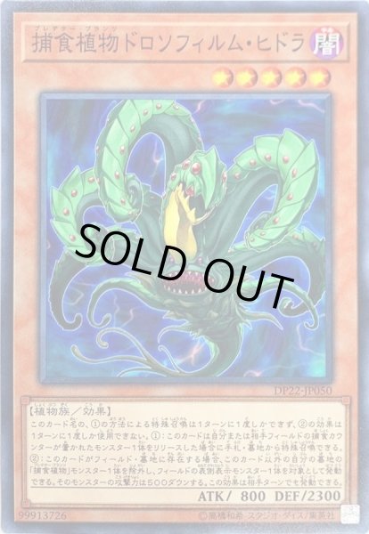 画像1: 捕食植物ドロソフィルムヒドラ【ノーマル】{DP22-JP050}《モンスター》 (1)