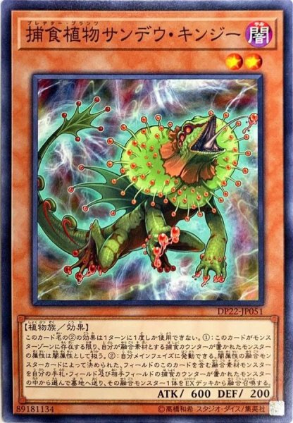 画像1: 〔状態B〕捕食植物サンデウキンジー【ノーマル】{DP22-JP051}《モンスター》 (1)