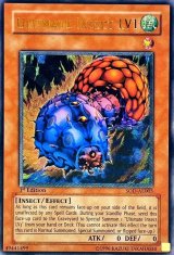 旧アジアレリーフ - カードラッシュ[遊戯王]