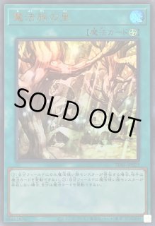 魔法族の里 - カードラッシュ[遊戯王]