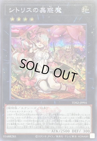 画像1: 〔状態B〕シトリスの蟲惑魔(ロゴ)【シークレット】{TDS2-JPP01}《エクシーズ》 (1)