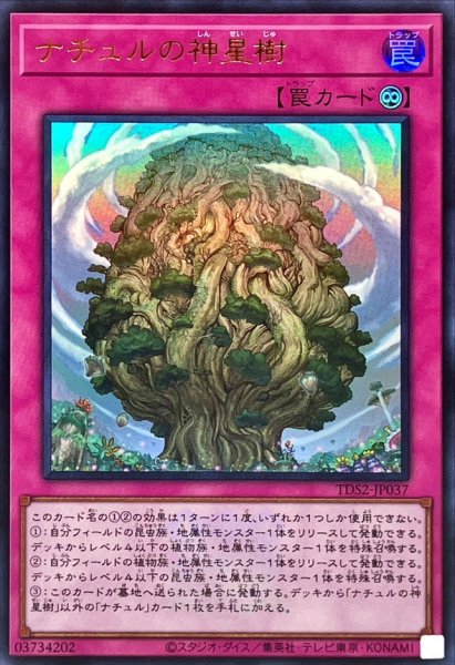 画像1: 〔状態A-〕ナチュルの神星樹(ロゴ)【ウルトラ】{TDS2-JP037}《罠》 (1)