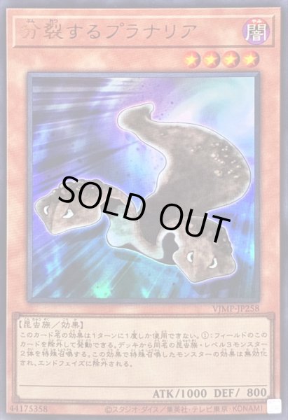 画像1: 〔状態B〕分裂するプラナリア【ウルトラ】{VJMP-JP258}《モンスター》 (1)