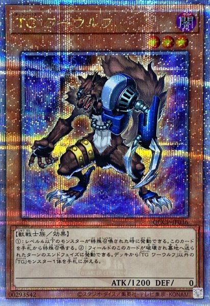 画像1: 〔状態A-〕TGワーウルフ【クォーターセンチュリーシークレット】{QCCP-JP036}《モンスター》 (1)